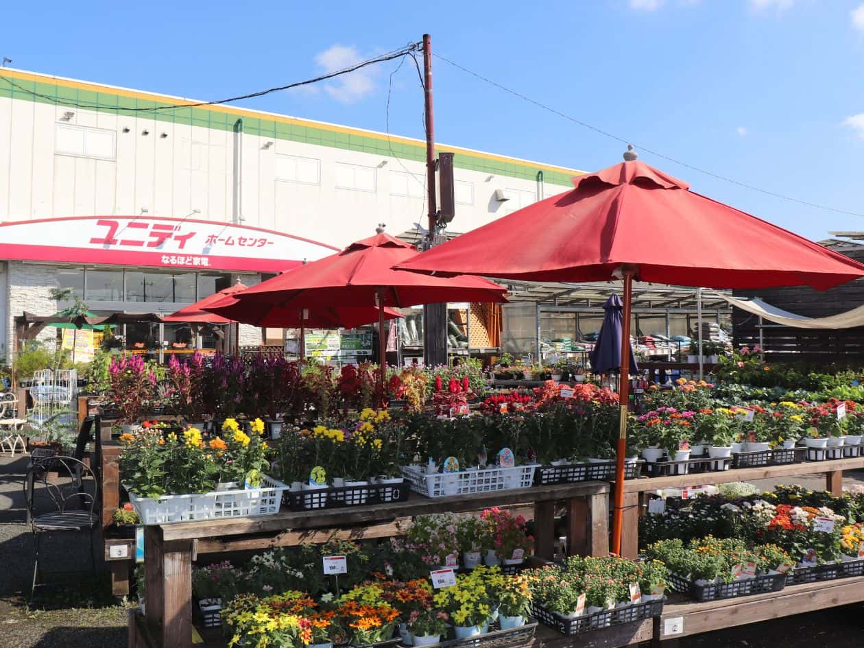 ユニディ草加新栄町店