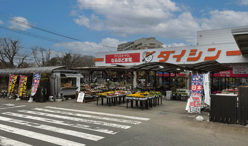 ダイシン桂店