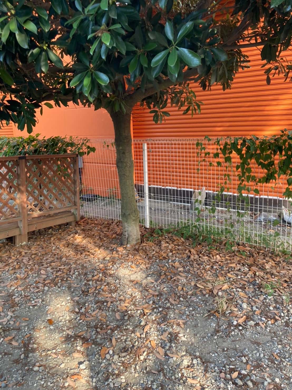 屋外ドッグラン ペット商品のサンプリングや商品のアピールが可能な催事イベントスペース